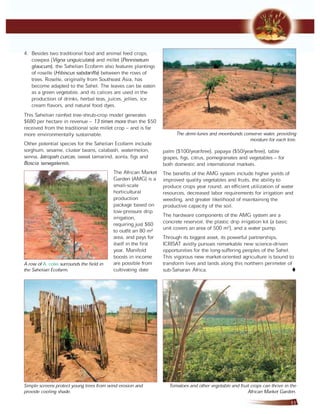 A new sahel   sun, sand and salvation