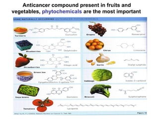 Anticancer compound present in fruits and
vegetables, phytochemicals are the most important
 