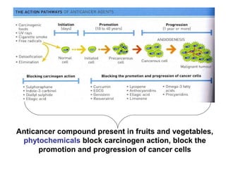 Anticancer compound present in fruits and vegetables,
phytochemicals block carcinogen action, block the
promotion and progression of cancer cells
 