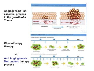 Angiogenesis –an
essential process
in the growth of a
Tumor
Chemotherapy
therapy
Anti Angiogenesis
Metronomic therapy
process
vs
 