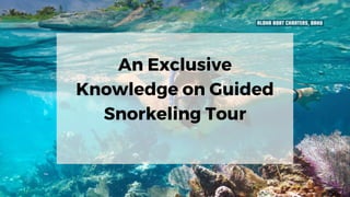 An Exclusive
Knowledge on Guided
Snorkeling Tour
 