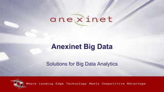 Anexinet Big Data

Solutions for Big Data Analytics
 