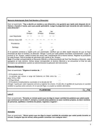 Anexo 1-ace-r-versi%c3%b3n-chilena-ace-r-ch final--1 | PDF