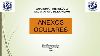 ANEXOS
OCULARES
ANATOMIA – HISTOLOGIA
DEL APARATO DE LA VISION
Liberti Russo, Agustina.
Residencia Oftalmología
2023
HPMI
 