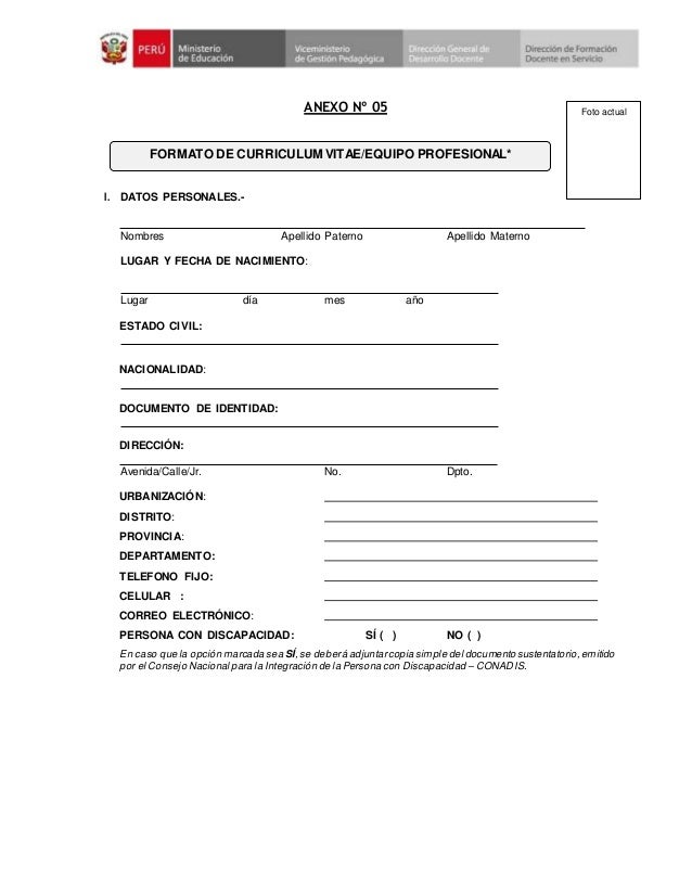 Anexo 05 Formato Curriculum Vitae