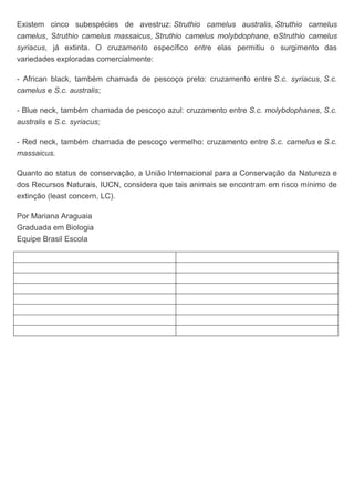 Existem cinco subespécies de avestruz: Struthio camelus australis, Struthio camelus
camelus, Struthio camelus massaicus, Struthio camelus molybdophane, eStruthio camelus
syriacus, já extinta. O cruzamento específico entre elas permitiu o surgimento das
variedades exploradas comercialmente:
- African black, também chamada de pescoço preto: cruzamento entre S.c. syriacus, S.c.
camelus e S.c. australis;
- Blue neck, também chamada de pescoço azul: cruzamento entre S.c. molybdophanes, S.c.
australis e S.c. syriacus;
- Red neck, também chamada de pescoço vermelho: cruzamento entre S.c. camelus e S.c.
massaicus.
Quanto ao status de conservação, a União Internacional para a Conservação da Natureza e
dos Recursos Naturais, IUCN, considera que tais animais se encontram em risco mínimo de
extinção (least concern, LC).
Por Mariana Araguaia
Graduada em Biologia
Equipe Brasil Escola
 