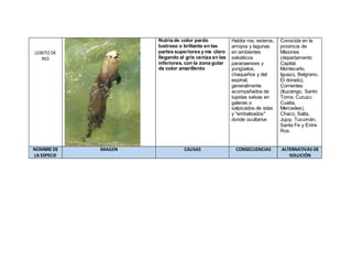 LOBITO DE RIO 
Nutria de color pardo lustroso o brillante en las partes superiores y ms claro llegando al gris ceniza en las inferiores, con la zona gular de color amarillento 
Habita ros, esteros, arroyos y lagunas en ambientes selváticos paranaenses y yungüelos, chaqueños y del espinal, generalmente acompañados de tupidas selvas en galeras o salpicados de islas y "embalsados" donde ocultarse. 
Conocida en la provincia de Misiones (departamento Capital, Montecarlo, Iguazú, Belgrano, El dorado), Corrientes (Ituzaingo, Santo Tome, Curuzu Cuatia, Mercedes), Chaco, Salta, Jujuy, Tucumán, Santa Fe y Entre Ros. NOMBRE DE LA ESPECIE IMAGEN CAUSAS CONSECUENCIAS ALTERNATIVAS DE SOLUCIÓN  