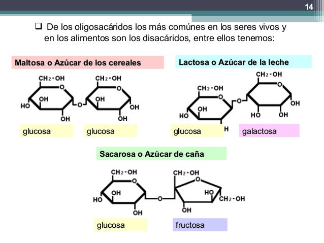 Anexo 1. ppt nutrimentos orgánicos