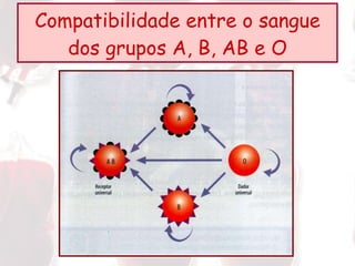 Compatibilidade entre o sangue dos grupos A, B, AB e O 