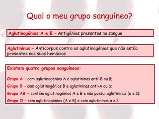 Qual o meu grupo sanguíneo? Existem quatro grupos sanguíneos: Grupo A –  com aglutinogénios A e aglutininas anti-B ou  ß; Grupo B –  com aglutinogénios B e aglutininas anti-A ou  α ; Grupo AB -  contém aglutinogénios A e B e não possui aglutininas ( α  e  ß) ; Grupo O –  sem aglutinogénios (A e B) e com aglutininas  α  e  ß. Aglutinogénios A e B –  Antigénios presentes no sangue Aglutininas –  Anticorpos contra os aglutinogénios que não estão presentes nas suas hemácias 