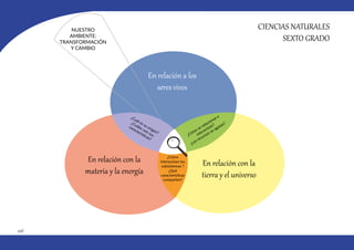 446
CIENCIAS NATURALES
SEXTO GRADO
En relación a los
seres vivos
En relación con la
materia y la energía
En relación con la
tierra y el universo
NUESTRO
AMBIENTE:
TRANSFORMACIÓN
Y CAMBIO
¿Cuál es su origen?
¿Cuáles son sus
características?
¿Cómo se relacionan e
interactúan?
¿Los recursos se agotan?
¿Cómo
interactúan los
subsistemas ?
¿Qué
características
comparten?
 