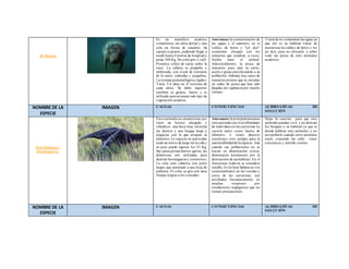 El Manatí 
Es un mamífero acuát ico 
voluminoso sin aleta dorsal y una 
cola en forma de canalete. Su 
cuerpo es grueso, pudiendo llegar a 
medir hasta 4 metros de longitud y 
pesar 500 Kg. De color gris o café. 
Presenta rollos de carne sobre la 
nuca. La cabeza es pequeña y 
embotada, con el par de ventanas 
de la nariz, redondas y pequeñas. 
La t rompa presenta bigotes rígidos. 
Tiene 3-4 uñas en el ext remo de 
cada aleta. Su labio superior 
también es grueso, fuerte y es 
ut ilizado para arrancar todo tipo de 
vegetación acuát ica 
Amenazas: la contaminación de 
las aguas y el aumento en el 
t ráfico de botes y "jet skis" 
ocasionan choques con los 
manat íes que resultan, a veces, 
fatales para el animal. 
Adicionalmente, la pesca de 
manat íes para usar su carne, 
aceite y grasa está afectando a su 
población. Además, hay casos de 
manat íes jóvenes que se enredan 
en redes de pesca que han sido 
dejadas sin vigilancia por mucho 
t iempo. 
Tratar de no contaminar las aguas ya 
que ahí es su habitad t ratar de 
minimizar los t ráfico de botes y los 
jet skis, para no chocarlo y sobre 
todo las pesca de esto animales 
acuát icos 
NOMBRE DE LA 
ESPECIE 
IMAGEN CAUSAS CONSECUENCIAS ALTERNATIVAS DE 
SOLUCIÓN 
Oso Palmero / 
Hormiguero: 
Estos animales se caracterizan por 
tener un hocico alargado y 
cilíndrico, una boca muy est recha 
sin dientes y una lengua larga y 
pegajosa con la que at rapan su 
alimento. La especie en part icular 
mide un met ro de largo sin la cola y 
su peso puede superar los 25 Kg. 
Sus patas portan fuertes garras, las 
delanteras son ut ilizadas para 
dest ruir hormigueros y termiteros. 
La cola está cubierta con pelos 
largos que asemejan a una hoja de 
palmera. El color es gris con unas 
franjas negras a los costados. 
Amenazas: la principal amenaza 
está asociada con el arrollamiento 
de individuos en las carreteras. La 
cacería tanto como fuente de 
alimento o como deporte 
const ituye ot ro peligro para la 
sustentabilidad de la espacie. Aun 
cuando sus poblaciones no se 
hayan en disminución crít ica, 
disminuyen lentamente por la 
dest rucción de sus hábitats. En el 
Amazonas todavía se considera 
estable, En la Gran Sabana se ven 
ocasionalmente en las veredas y 
cerca de las carreteras, son 
arrollados frecuentemente en 
muchas ocasiones por 
conductores negligentes que no 
toman precauciones. 
Dejar la caserías para que esto 
animales puedan vivir y no dest ruir 
los bosques o su habitad ya que es 
donde habitan esto animales y no 
at ropellarlo cuando estos animales 
estén cruzando las calle tener 
conciencia y sent ido común. 
NOMBRE DE LA 
ESPECIE 
IMAGEN CAUSAS CONSECUENCIAS ALTERNATIVAS DE 
SOLUCIÓN 
 