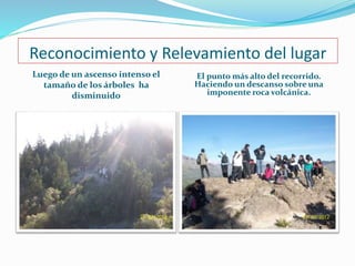 Reconocimiento y Relevamiento del lugar 
Luego de un ascenso intenso el 
tamaño de los árboles ha 
disminuido 
El punto más alto del recorrido. 
Haciendo un descanso sobre una 
imponente roca volcánica. 
 