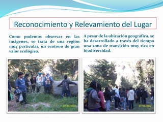 Reconocimiento y Relevamiento del Lugar 
Como podemos observar en las 
imágenes, se trata de una región 
muy particular, un ecotono de gran 
valor ecológico. 
A pesar de la ubicación geográfica, se 
ha desarrollado a través del tiempo 
una zona de transición muy rica en 
biodiversidad. 
 