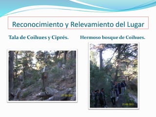 Reconocimiento y Relevamiento del Lugar 
Tala de Coihues y Ciprés. Hermoso bosque de Coihues. 
 