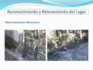 Reconocimiento y Relevamiento del Lugar 
Más testimonios silenciosos. 
 
