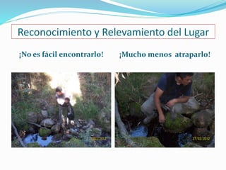 Reconocimiento y Relevamiento del Lugar 
¡No es fácil encontrarlo! ¡Mucho menos atraparlo! 
 