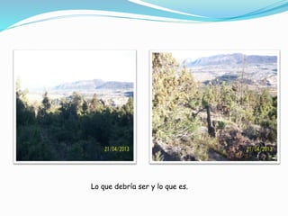 Lo que debría ser y lo que es. 
 