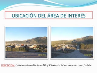 UBICACIÓN DEL ÁREA DE INTERÉS 
UBICACIÓN: Cañadón e inmediaciones NE y SO sobre la ladera norte del cerro Carbón. 
 