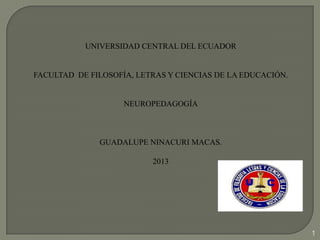 UNIVERSIDAD CENTRAL DEL ECUADOR

FACULTAD DE FILOSOFÍA, LETRAS Y CIENCIAS DE LA EDUCACIÓN.

NEUROPEDAGOGÍA

GUADALUPE NINACURI MACAS.
2013

1

 