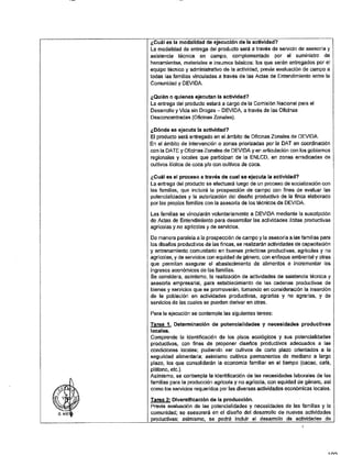 ANEXO 2 - 2019 PIRDAIS_.pdf