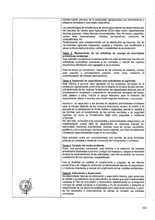 ANEXO 2 - 2019 PIRDAIS_.pdf