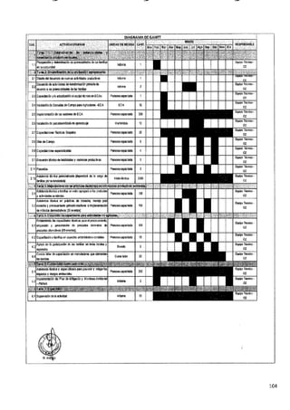ANEXO 2 - 2019 PIRDAIS_.pdf