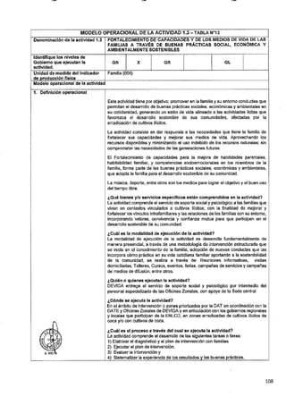 ANEXO 2 - 2019 PIRDAIS_.pdf