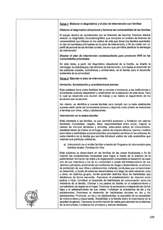 ANEXO 2 - 2019 PIRDAIS_.pdf