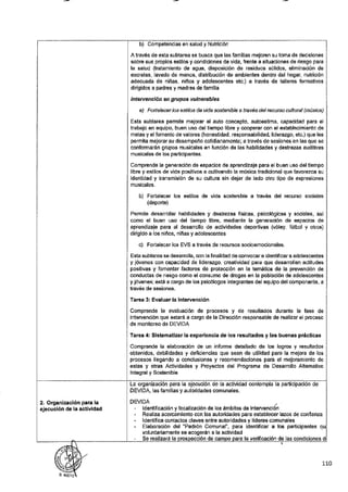 ANEXO 2 - 2019 PIRDAIS_.pdf