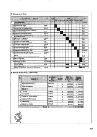 ANEXO 2 - 2019 PIRDAIS_.pdf