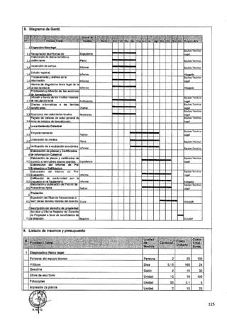 ANEXO 2 - 2019 PIRDAIS_.pdf