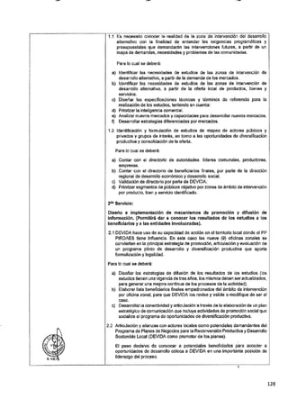 ANEXO 2 - 2019 PIRDAIS_.pdf