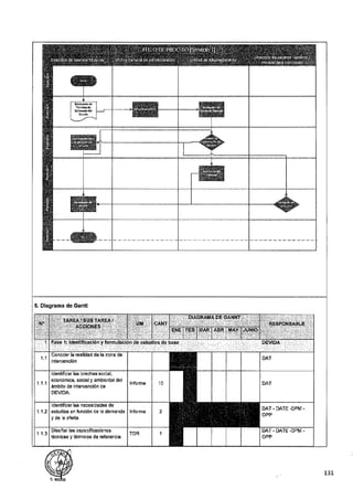 ANEXO 2 - 2019 PIRDAIS_.pdf