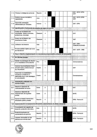 ANEXO 2 - 2019 PIRDAIS_.pdf