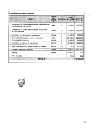 ANEXO 2 - 2019 PIRDAIS_.pdf