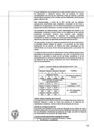 ANEXO 2 - 2019 PIRDAIS_.pdf