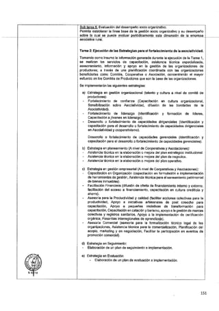 ANEXO 2 - 2019 PIRDAIS_.pdf