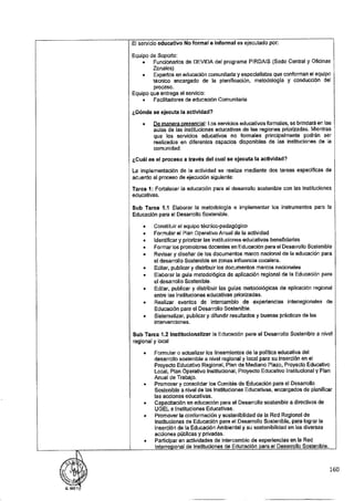 ANEXO 2 - 2019 PIRDAIS_.pdf