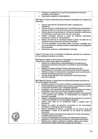 ANEXO 2 - 2019 PIRDAIS_.pdf