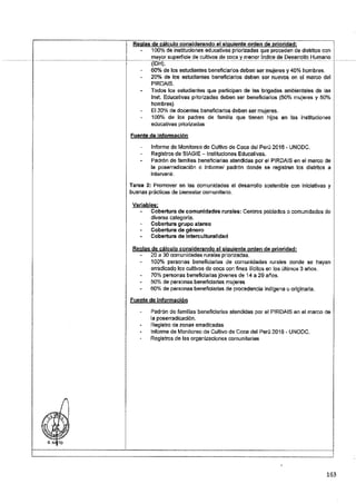 ANEXO 2 - 2019 PIRDAIS_.pdf