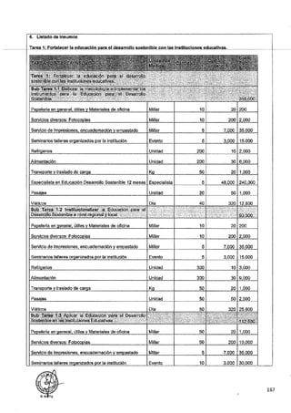 ANEXO 2 - 2019 PIRDAIS_.pdf