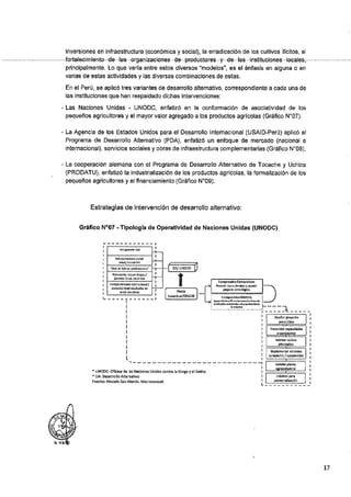 ANEXO 2 - 2019 PIRDAIS_.pdf