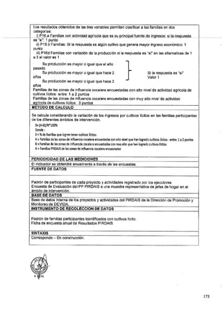 ANEXO 2 - 2019 PIRDAIS_.pdf