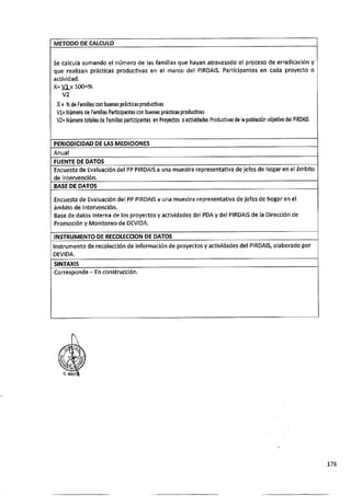 ANEXO 2 - 2019 PIRDAIS_.pdf