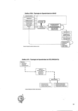 ANEXO 2 - 2019 PIRDAIS_.pdf
