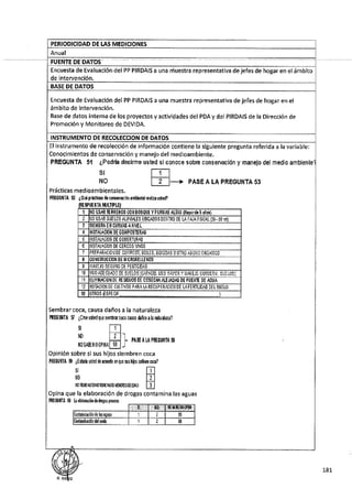 ANEXO 2 - 2019 PIRDAIS_.pdf