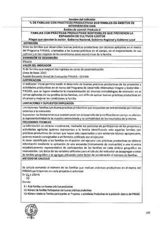 ANEXO 2 - 2019 PIRDAIS_.pdf