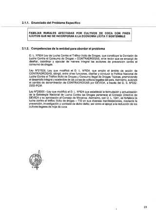 ANEXO 2 - 2019 PIRDAIS_.pdf