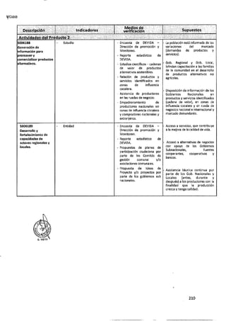 ANEXO 2 - 2019 PIRDAIS_.pdf